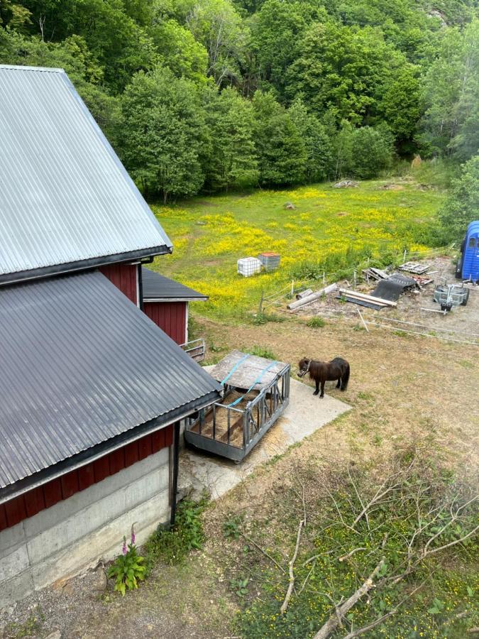 Apartamento Bjorkely Gard Rasvag Exterior foto